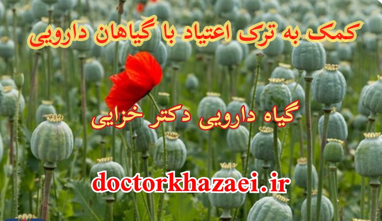 کمک به ترک اعتیاد با گیاه دارویی