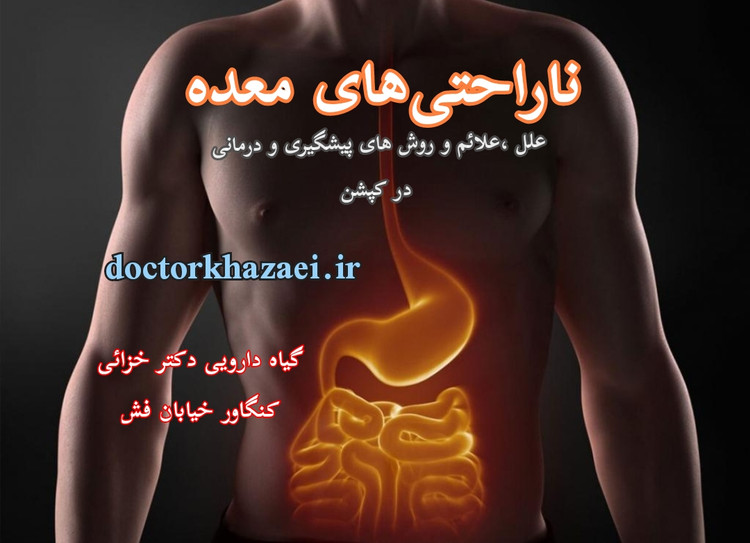 داروی گیاهی گاستریت،معده درد،نفخ معده،سوزش معده،رفلاکس معده،تقویت معده