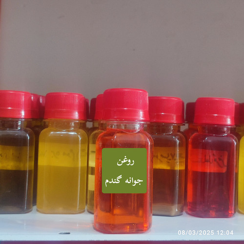 روغن جوانه گندم